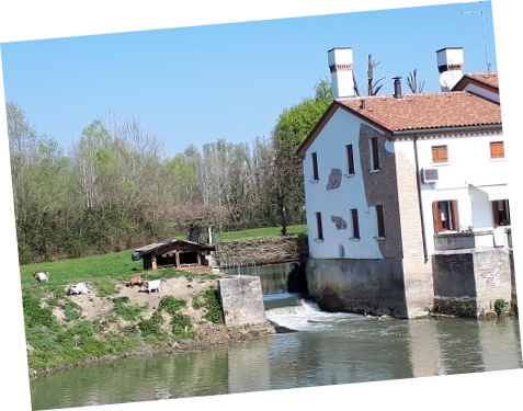 2018_festa_primavera_07