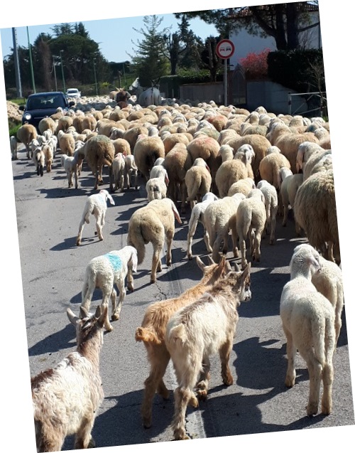 2018_festa_primavera_08