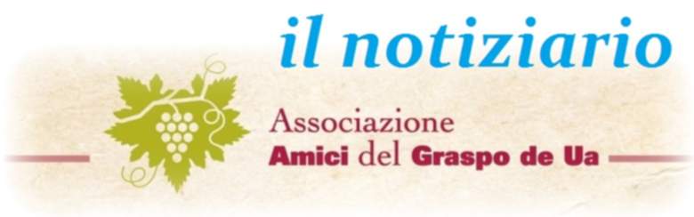 amicidelgraspo_notiziario