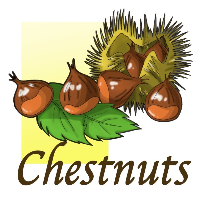 castagne_(FILEminimizer)